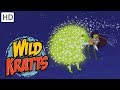 Wild Kratts Part 1 Creature Rescue From The Evil Fashion Designer Kids Videos