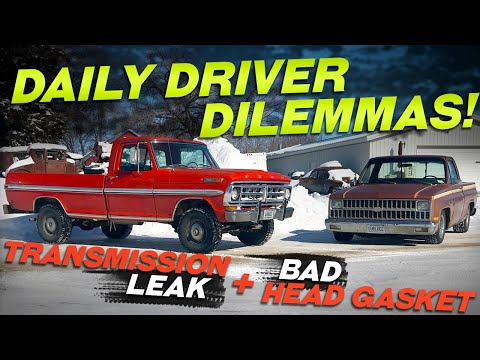 Repairing the Daily Driver Fleet! 1981 Chevrolet C10 Shortbed 1971 Ford F100 4X4 with Issues!