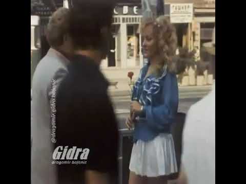 Cicos macos zikina dinastija