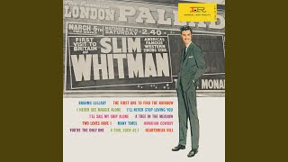 I&#39;ll Never Stop Loving You