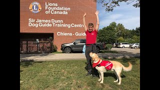 Walk for Dog Guides in Kanata- Tommy and Tyrone join the walk May 2023￼
