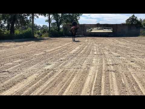 November 5, 2025 Bacardi