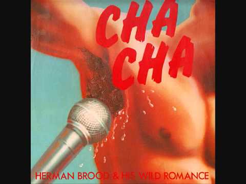 Herman Brood - Rock 'N Roll Junkie