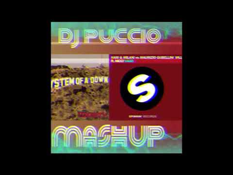 System of a down TOXICITY VS nari & milani & gubellini VAGO (DJ PUCCIO MASHUP)