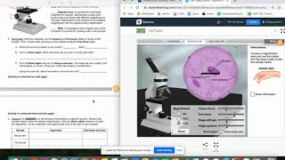 Cell Lab Gizmo Instructions