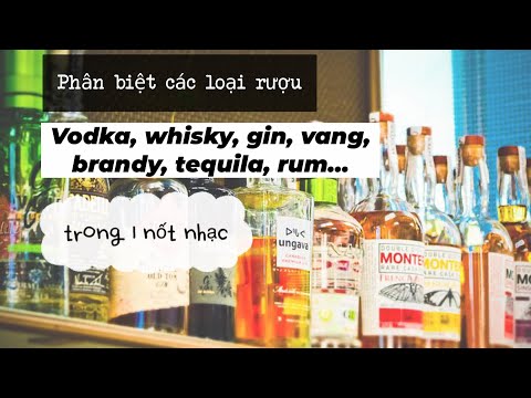 Phân biệt các loại rượu vodka, uísque, gin, vang, conhaque, tequila, rum em 1 hora
