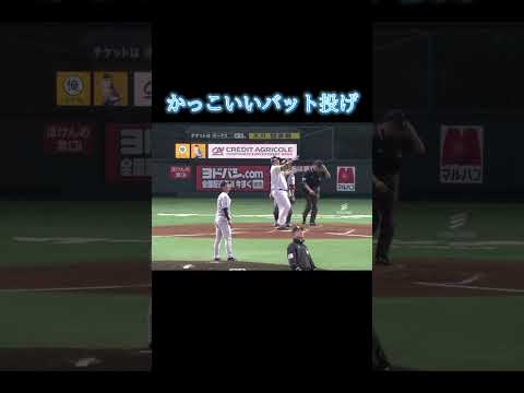 かっこいいバット投げまとめ#プロ野球 #shorts