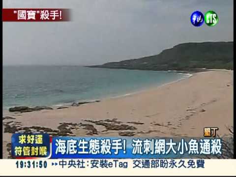 流刺網張牙舞爪 墾丁熱帶魚慘死