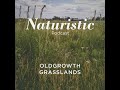 Old Growth Grasslands Naturistic Podcast Ep 6