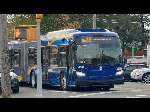 Bx 39 Bus