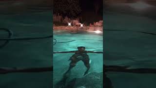 hottest ? sexy #busty #hot #tiktok #girls #shortsvideo #shortsviral #shorts #boobs #petite #young