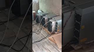 Antminer S19 setup|| #bitcoin #bitcoinmining #shorts