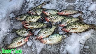 I Filled a Stringer FULL of CRAPPIE Using These Simple TIPS | WINTER Crappie Fishing