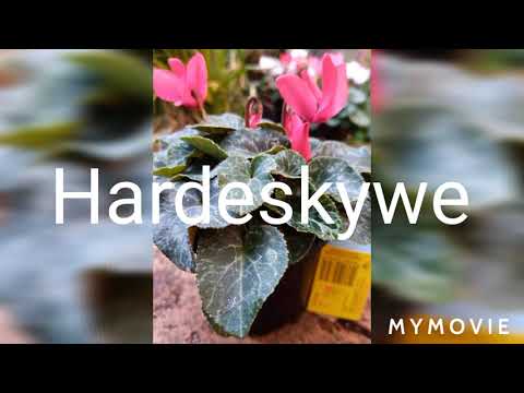 RTT GRAAD 10 MODULE 1.3