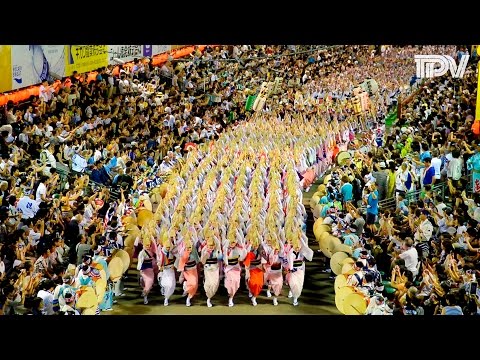 阿波踊り2016 総集編 Awaodori Festival in Tokushima, Japan