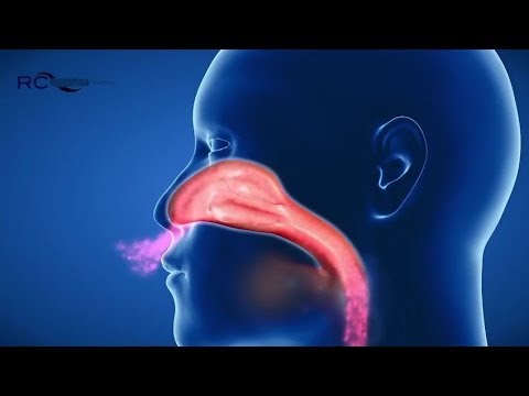 Atemtherapie für die Nase: Wirkung RC-Cornet® PLUS NASAL