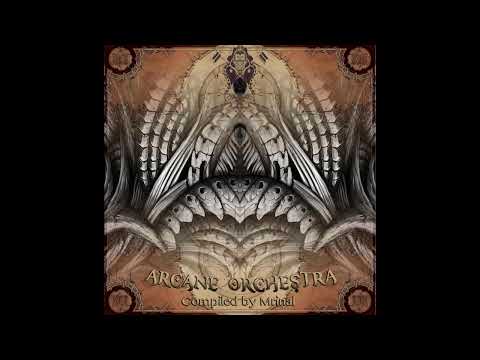 Kinetik Flux - Cathaclysme