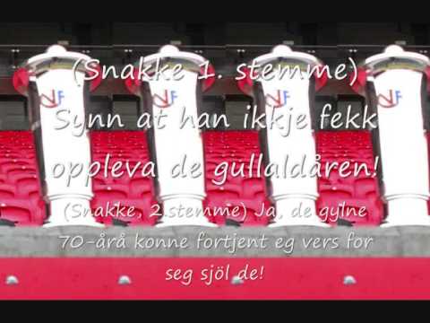 Viking - Harald Ringås