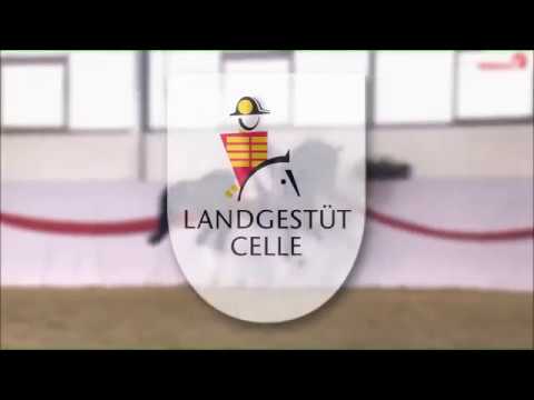 Emilio Sánchez Züchterfrühschoppen M. Beckmann 2018