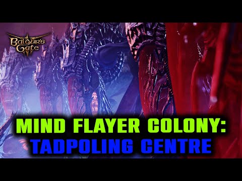 Mind Flayer Colony: Tadpoling Centre Complete Guide - Where to Find Zevlor - Baldur's Gate 3