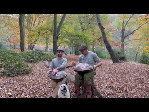 1 Hour Forest Meditation with The Handpan Gentlemen