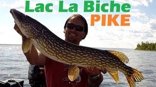 preview picture of video 'Lac La Biche Northern Pike Fishing Alberta'