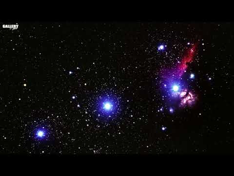 Polar Energy  -  Euphoria