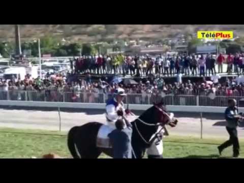 Hippisme: La commission d'enquête recommande la création d’une Mauritius Horseracing Authority