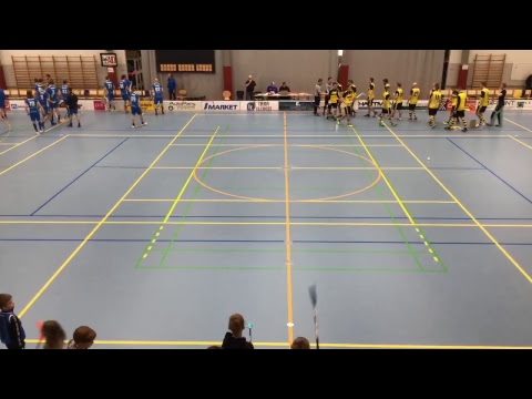 Blue Fox - PoNoVo divarikarsinta2