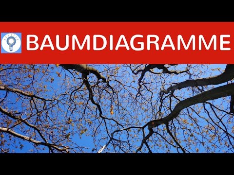 Baumdiagramme erstellen und damit rechnen & Pfadregeln 1 und 2 einfach erklärt