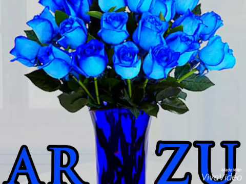 ARZU HAPPY BİRTHDAY friend Ferishashi Kapoor Khan