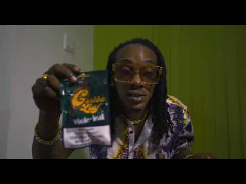 Twinkle Brain - Next Strain (Official Video)