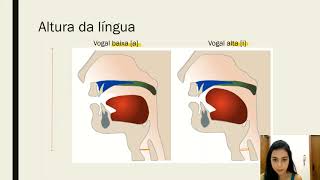 Aula 03 parte I - Fonética Articulatória - As vogais do português brasileiro
