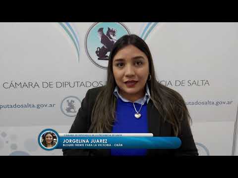 Video: Visita del Procurador a la Comisión de Derechos Humanos de la Cámara de Diputados de Salta