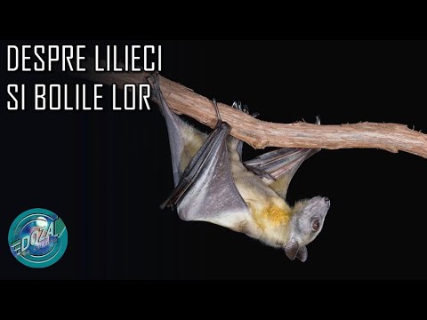 metoda liliecilor vizionari viziunea transurfing