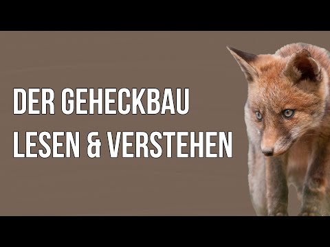 Freunde der Jagd - Folge 18 - Jagd auf Jungfüchse I Teil 1 - Der Geheckbau