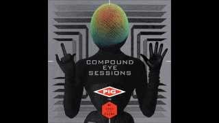 PIG vs. MC Lord of The Flies - Drugzilla (Pork Talk Mix)