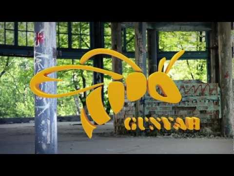 Гуня | Gunyah - Приглашение на концерт в Полтаве 2012
