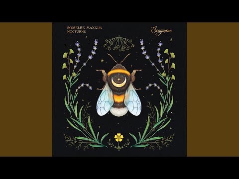 Nocturne (Extended Mix)