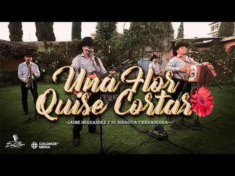 Jaime Hernandez y su Dinastía Tierranegra - UNA FLOR QUISE CORTAR (En Vivo)