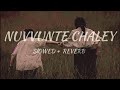 Nuvvunte Chaley Slowed Reverb Telgu Lofi Song