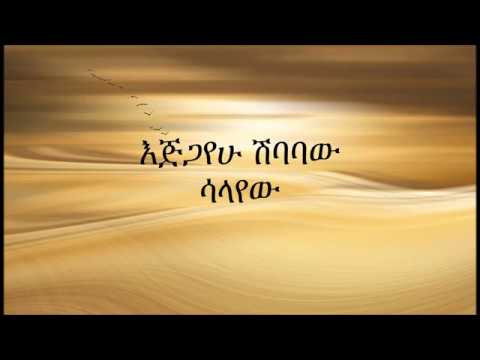 Ethiopia:ejigayehu shibabaw(Gigi)SALAYEW music with lyric