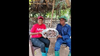 Farmer Aboundon Cocoa Farm For Snail Farming Due To Millions He Makes ||Watch & Start Your Own.