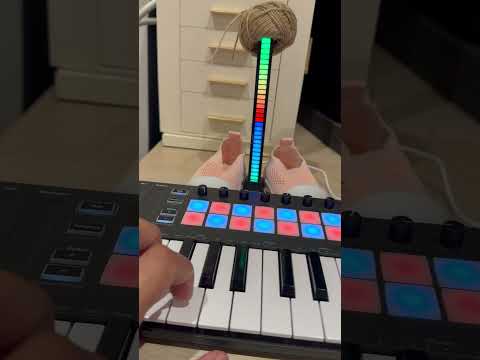 Don Miguelo - Y Qué Fue? | Remake/Cover #yquefue #lamineyamal #remake