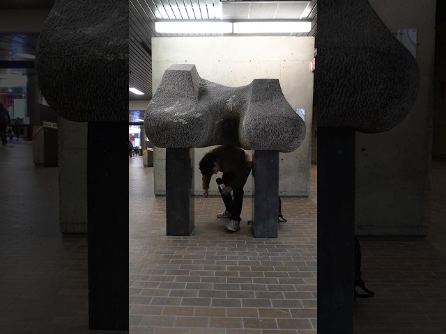 Œuvres d&rsquo;art sur le campus | La minute UQAM