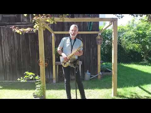 Cours de saxophone - Olivier Werly - Coldplay Cover