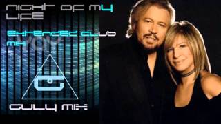 BARBRA STREISAND feat. BARRY GIBB - Night Of My Life - Extended Club Mix (gulymix)