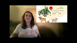 MIT 3 Minute Thesis 2021 - Winner & Audience Choice Award - Lindsey Backman