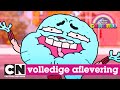 Gumball | Bewustzijn (volledige aflevering in het Nederlands) | Cartoon Network