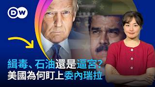 緝毒、 石油還是逼宮？美國為何盯上委內瑞拉 | DW一看你就懂